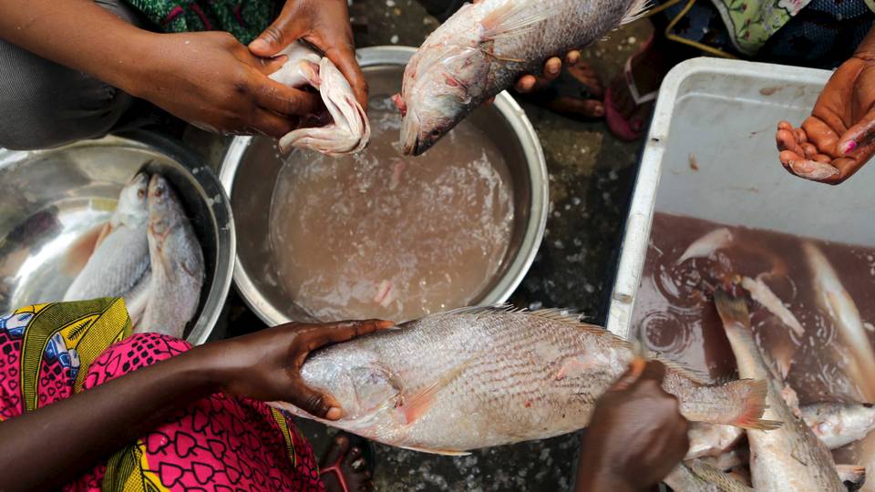 Attiéké: The rise of Côte d'Ivoire's dish to global status