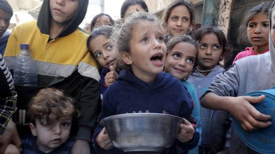 Famine alert: Israel 'annihilating' Palestinians in northern Gaza