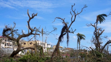 Cyclone Chido death toll in Mozambique rises to 73