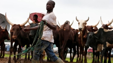 Will Nigeria's new livestock ministry end deadly herder-farmer conflict?