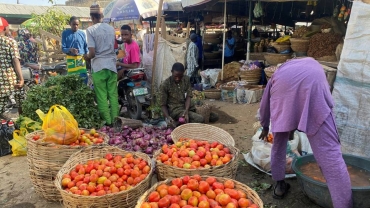 Nigeria inflation surged over 33% in October: Government