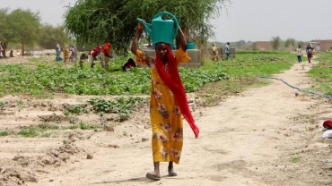 Gaoui's green shoots: How a drought-hit Chadian village turned the corner