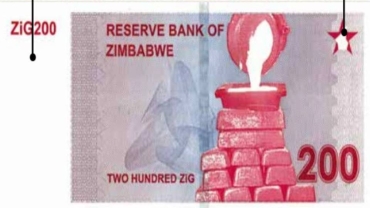 Zimbabwe's ZiG currency faces challenging times